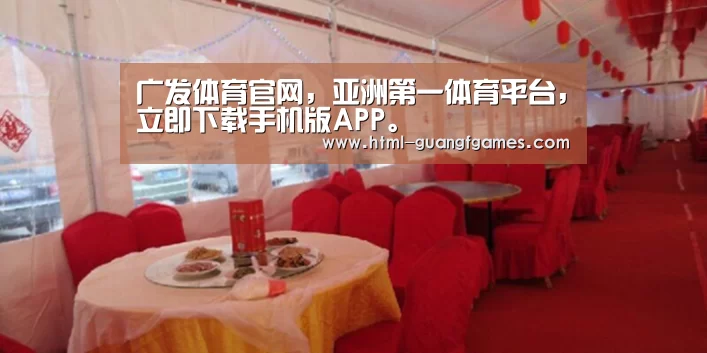 案例标题二