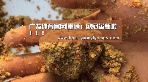 广发体育官网|重磅!欧冠革新啦!!!