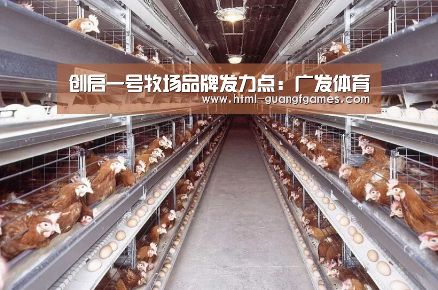创启一号牧场品牌发力点:广发体育